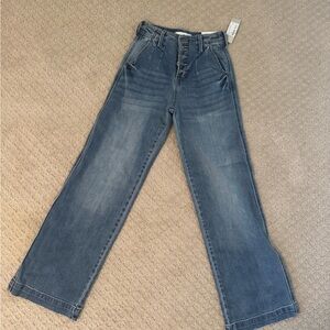 Lizard Thicket Blue Flare & Wide Leg Jeans